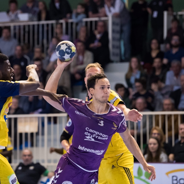 Les mauves battus mais maintenus. 27-28